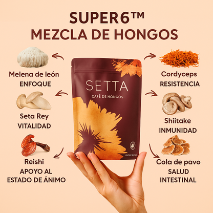 SETTA™: Café de Hongos