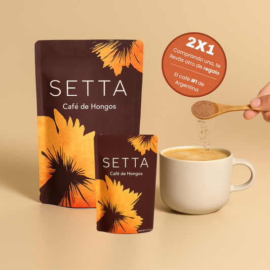 SETTA™: Café de Hongos